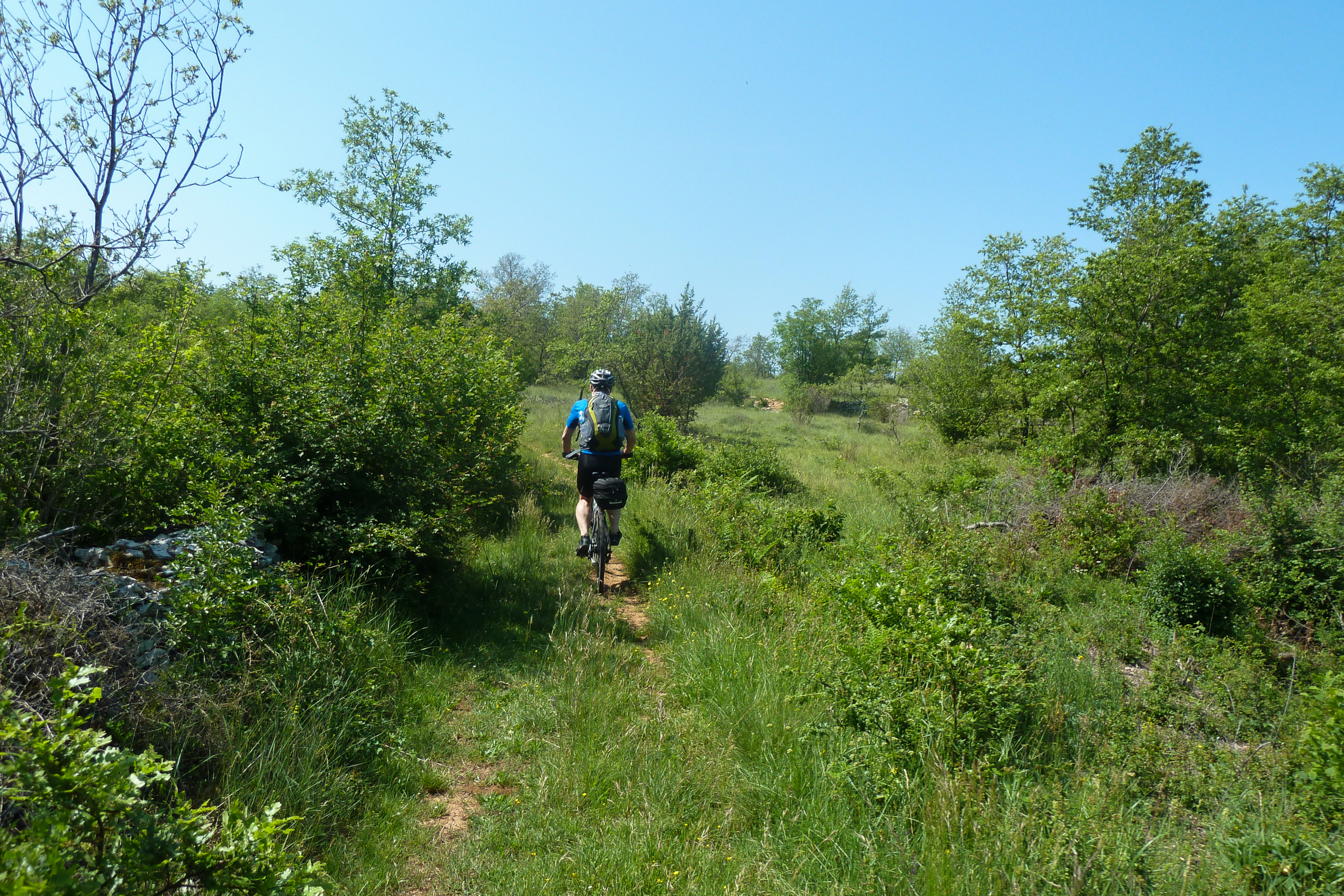 Radfahrer durch die Macchia-Landschaft